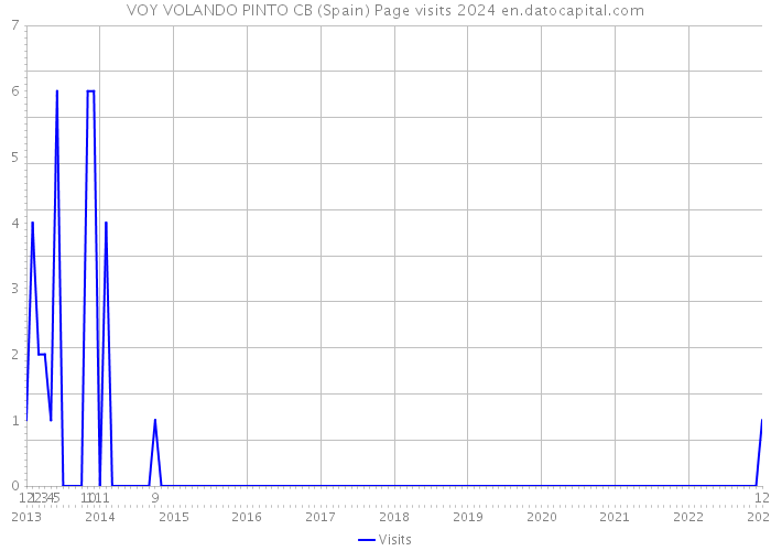 VOY VOLANDO PINTO CB (Spain) Page visits 2024 