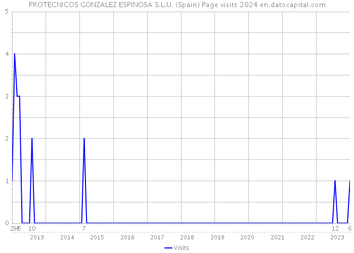 PROTECNICOS GONZALEZ ESPINOSA S.L.U. (Spain) Page visits 2024 