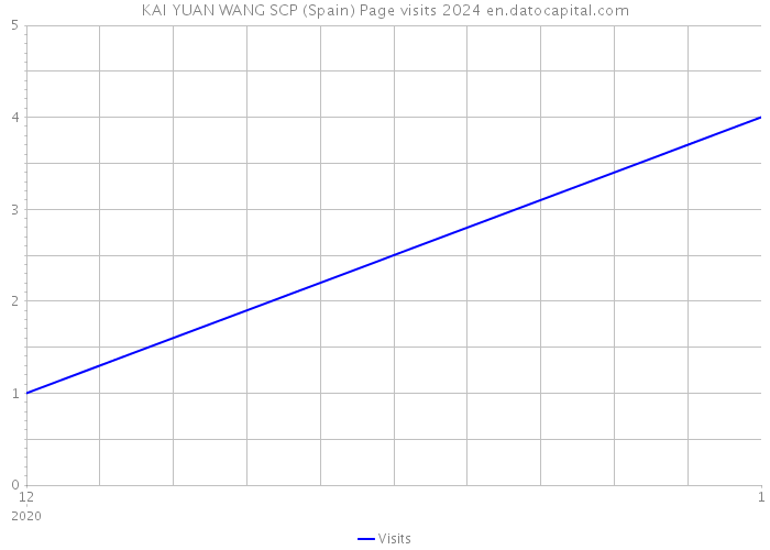 KAI YUAN WANG SCP (Spain) Page visits 2024 
