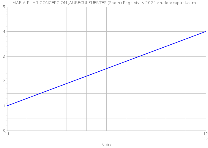 MARIA PILAR CONCEPCION JAUREGUI FUERTES (Spain) Page visits 2024 