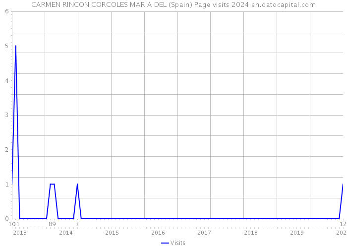 CARMEN RINCON CORCOLES MARIA DEL (Spain) Page visits 2024 