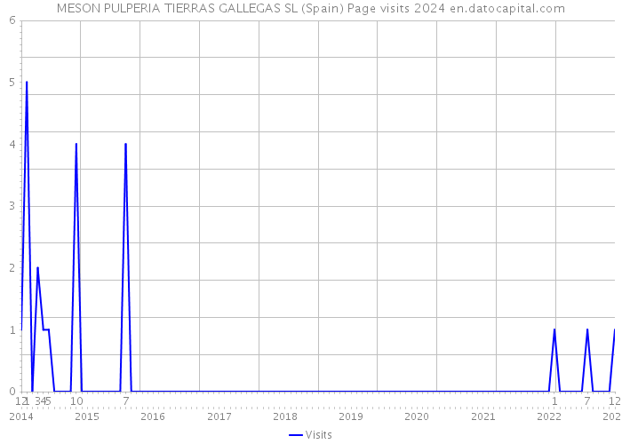 MESON PULPERIA TIERRAS GALLEGAS SL (Spain) Page visits 2024 