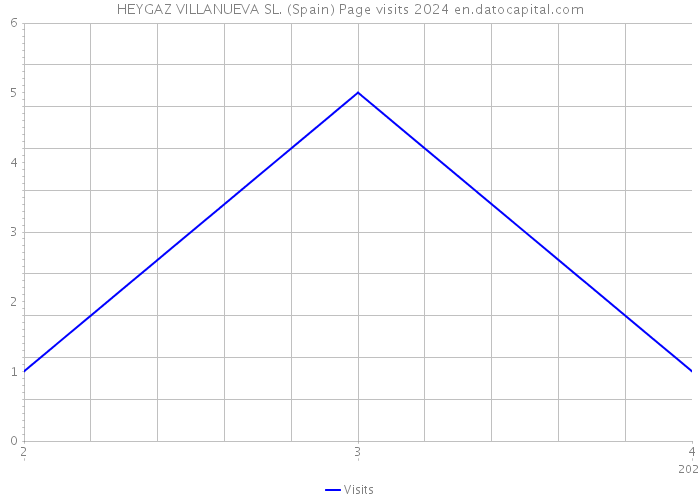 HEYGAZ VILLANUEVA SL. (Spain) Page visits 2024 