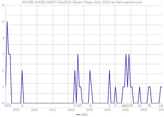 MIGUEL ANGEL HARO GALLEGO (Spain) Page visits 2024 