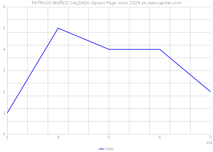 PATRICIO MUÑOZ CALZADA (Spain) Page visits 2024 