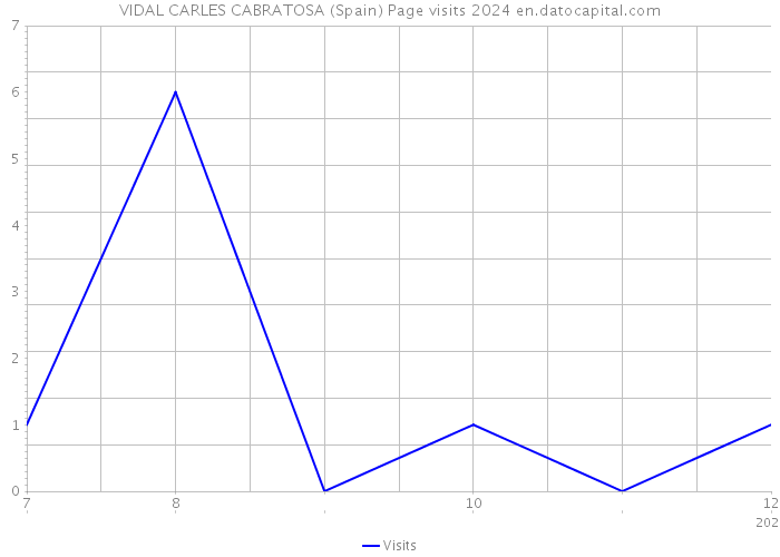 VIDAL CARLES CABRATOSA (Spain) Page visits 2024 