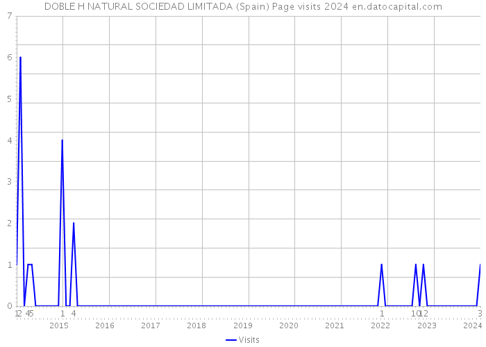 DOBLE H NATURAL SOCIEDAD LIMITADA (Spain) Page visits 2024 