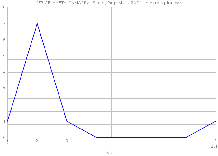 IKER CELAYETA GAMARRA (Spain) Page visits 2024 