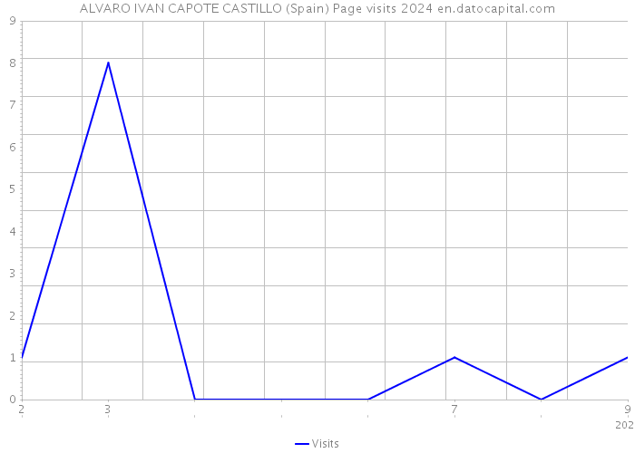 ALVARO IVAN CAPOTE CASTILLO (Spain) Page visits 2024 