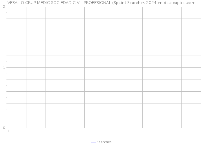 VESALIO GRUP MEDIC SOCIEDAD CIVIL PROFESIONAL (Spain) Searches 2024 