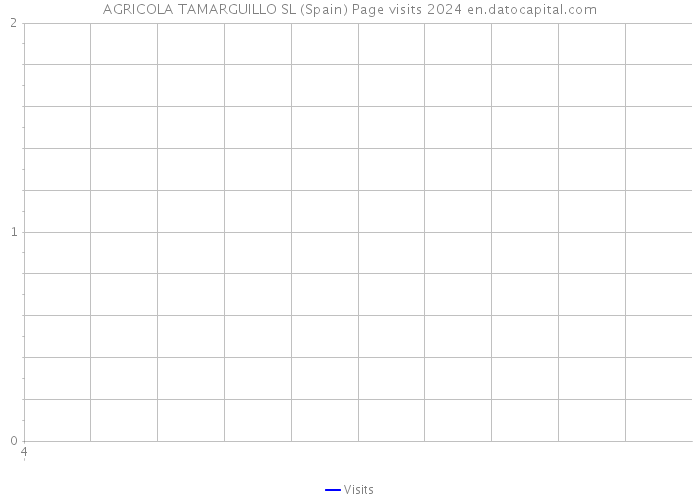 AGRICOLA TAMARGUILLO SL (Spain) Page visits 2024 