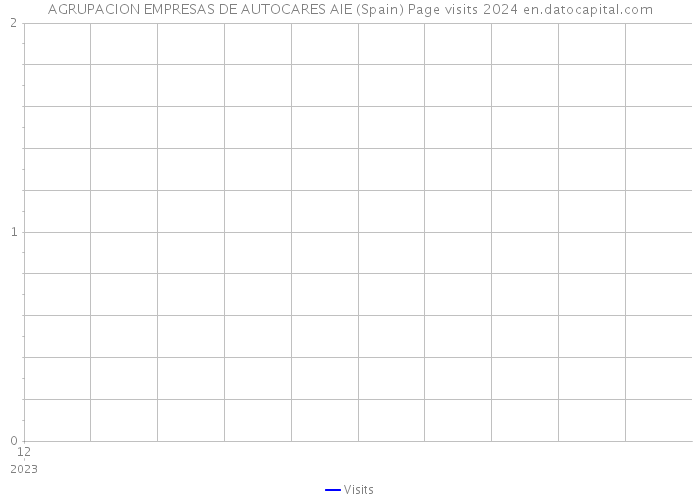 AGRUPACION EMPRESAS DE AUTOCARES AIE (Spain) Page visits 2024 