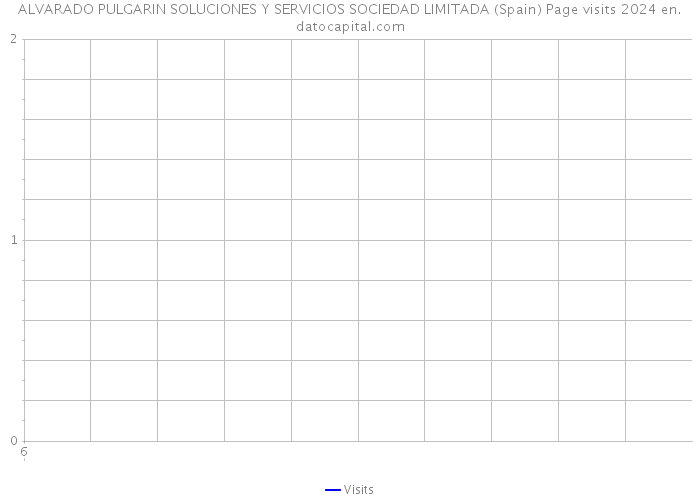 ALVARADO PULGARIN SOLUCIONES Y SERVICIOS SOCIEDAD LIMITADA (Spain) Page visits 2024 