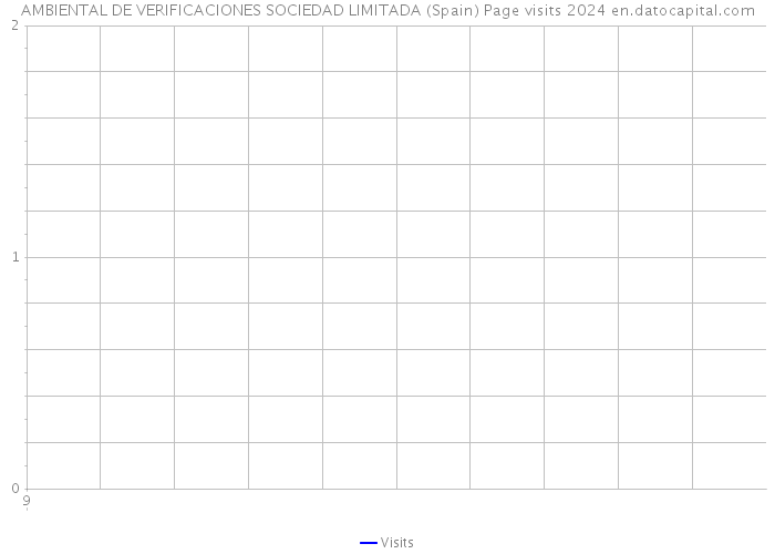 AMBIENTAL DE VERIFICACIONES SOCIEDAD LIMITADA (Spain) Page visits 2024 