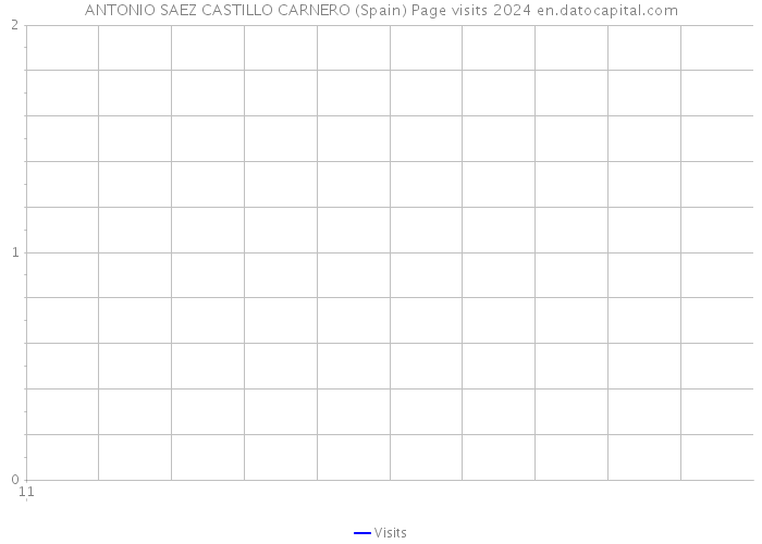 ANTONIO SAEZ CASTILLO CARNERO (Spain) Page visits 2024 