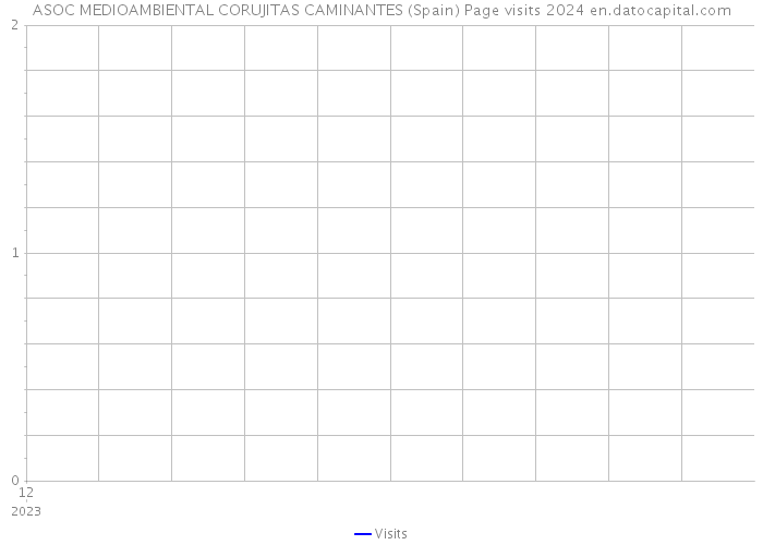ASOC MEDIOAMBIENTAL CORUJITAS CAMINANTES (Spain) Page visits 2024 