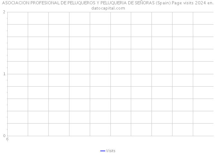 ASOCIACION PROFESIONAL DE PELUQUEROS Y PELUQUERIA DE SEÑORAS (Spain) Page visits 2024 