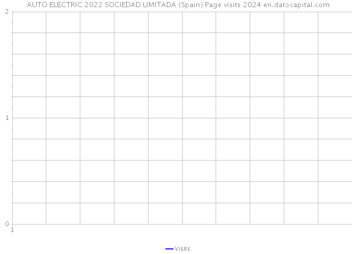 AUTO ELECTRIC 2022 SOCIEDAD LIMITADA (Spain) Page visits 2024 