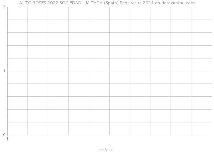 AUTO ROSES 2022 SOCIEDAD LIMITADA (Spain) Page visits 2024 