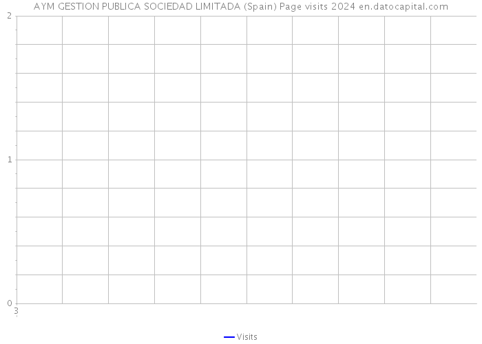 AYM GESTION PUBLICA SOCIEDAD LIMITADA (Spain) Page visits 2024 