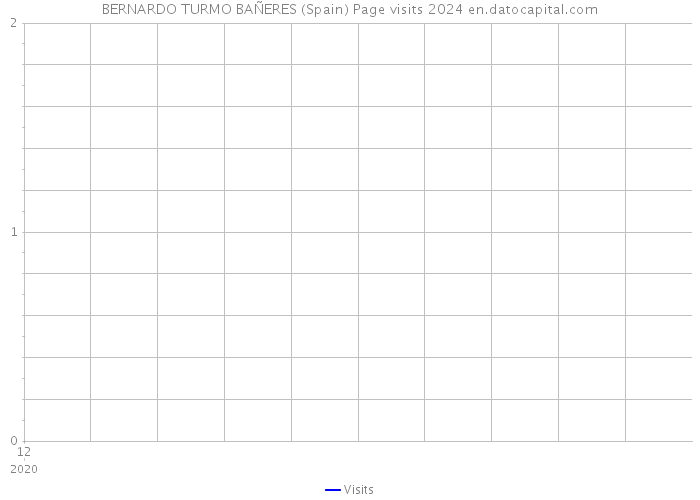 BERNARDO TURMO BAÑERES (Spain) Page visits 2024 