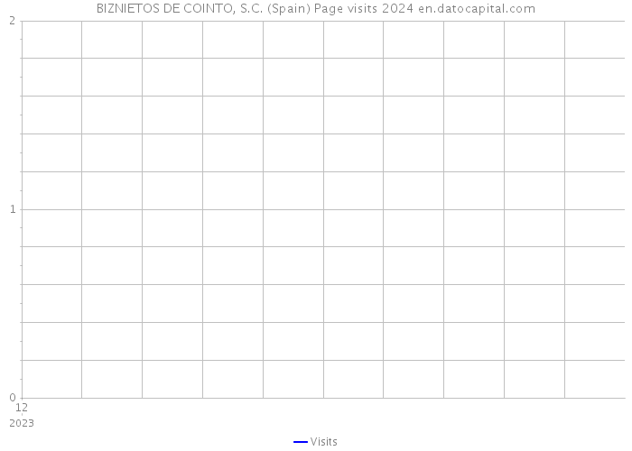 BIZNIETOS DE COINTO, S.C. (Spain) Page visits 2024 