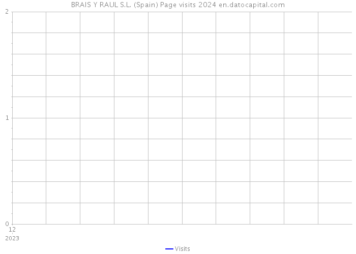 BRAIS Y RAUL S.L. (Spain) Page visits 2024 