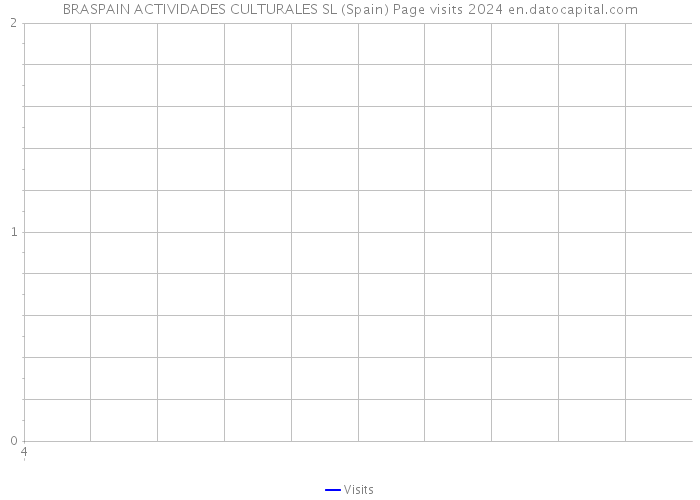 BRASPAIN ACTIVIDADES CULTURALES SL (Spain) Page visits 2024 