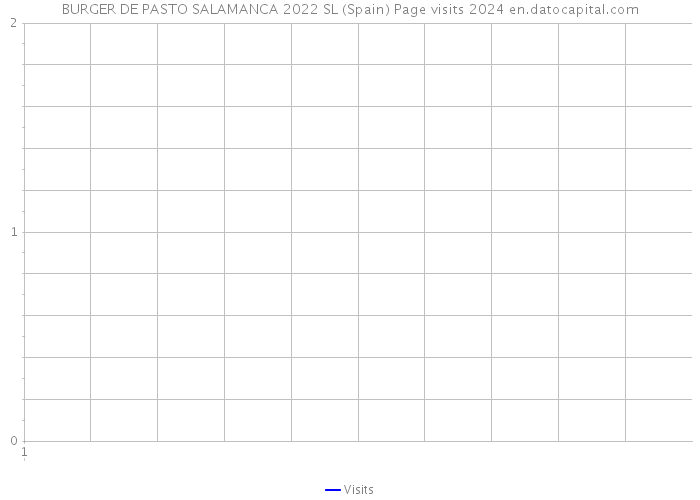 BURGER DE PASTO SALAMANCA 2022 SL (Spain) Page visits 2024 