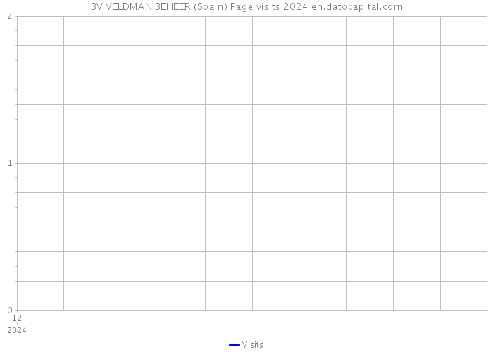 BV VELDMAN BEHEER (Spain) Page visits 2024 