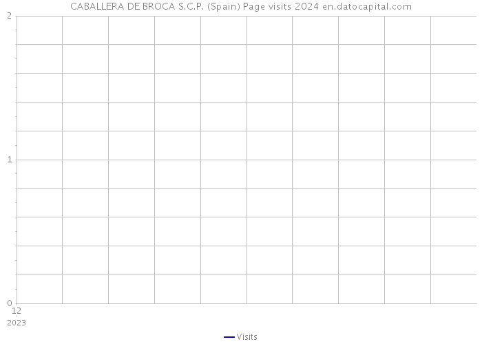 CABALLERA DE BROCA S.C.P. (Spain) Page visits 2024 