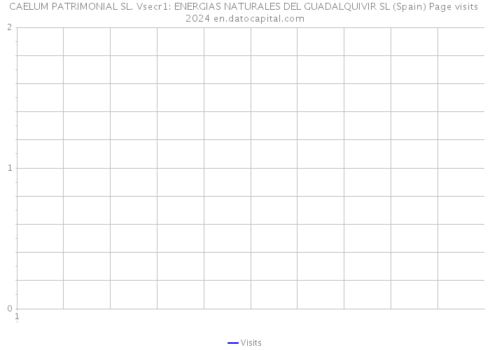 CAELUM PATRIMONIAL SL. Vsecr1: ENERGIAS NATURALES DEL GUADALQUIVIR SL (Spain) Page visits 2024 