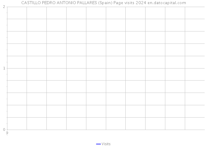 CASTILLO PEDRO ANTONIO PALLARES (Spain) Page visits 2024 