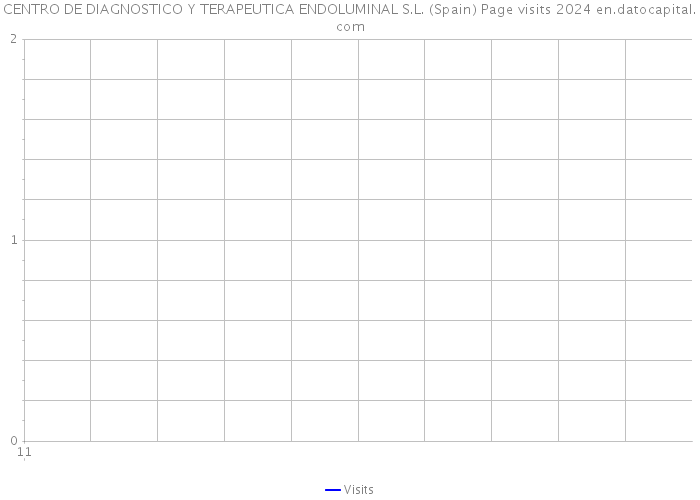 CENTRO DE DIAGNOSTICO Y TERAPEUTICA ENDOLUMINAL S.L. (Spain) Page visits 2024 