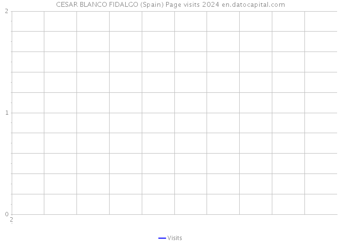 CESAR BLANCO FIDALGO (Spain) Page visits 2024 
