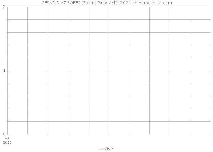 CESAR DIAZ BOBES (Spain) Page visits 2024 