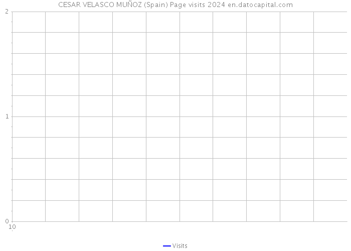CESAR VELASCO MUÑOZ (Spain) Page visits 2024 