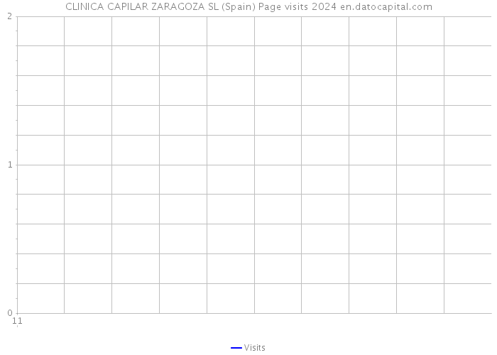 CLINICA CAPILAR ZARAGOZA SL (Spain) Page visits 2024 