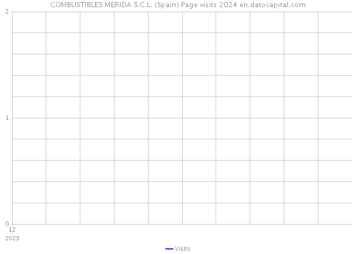 COMBUSTIBLES MERIDA S.C.L. (Spain) Page visits 2024 