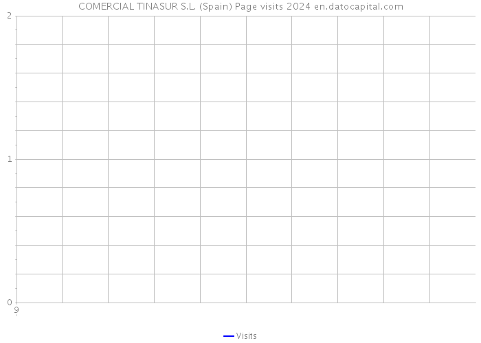 COMERCIAL TINASUR S.L. (Spain) Page visits 2024 