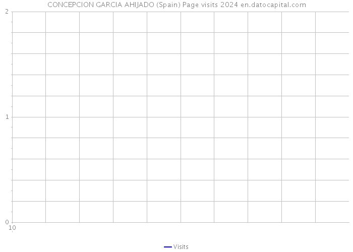 CONCEPCION GARCIA AHIJADO (Spain) Page visits 2024 