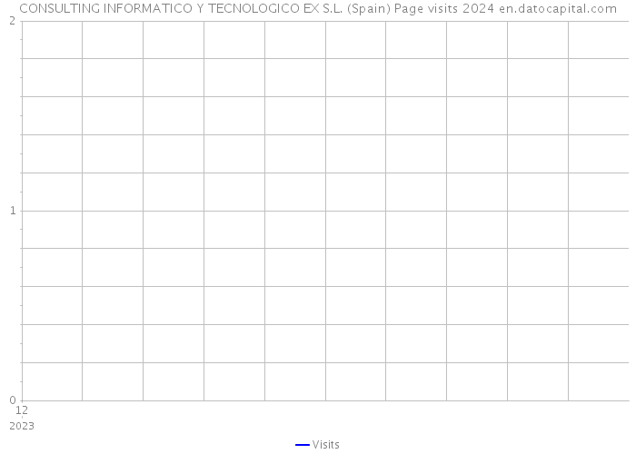 CONSULTING INFORMATICO Y TECNOLOGICO EX S.L. (Spain) Page visits 2024 
