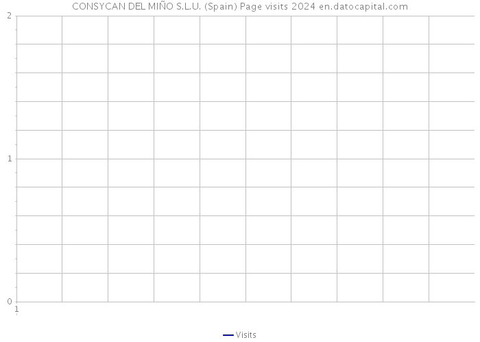 CONSYCAN DEL MIÑO S.L.U. (Spain) Page visits 2024 