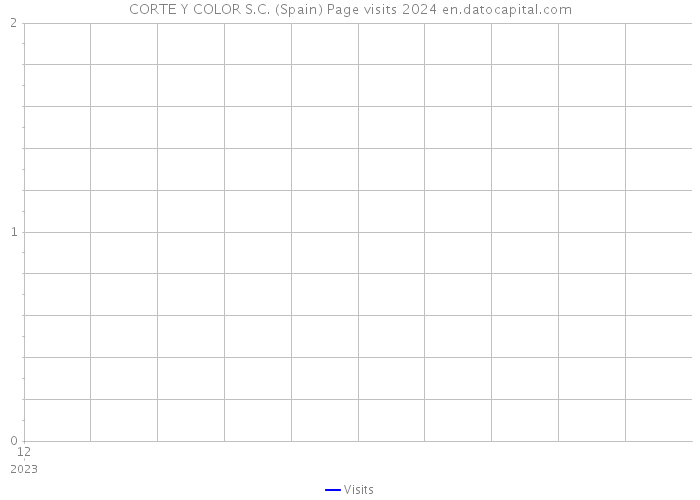 CORTE Y COLOR S.C. (Spain) Page visits 2024 