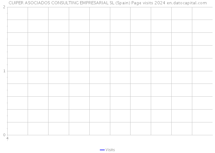 CUIPER ASOCIADOS CONSULTING EMPRESARIAL SL (Spain) Page visits 2024 