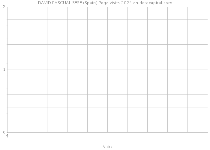 DAVID PASCUAL SESE (Spain) Page visits 2024 