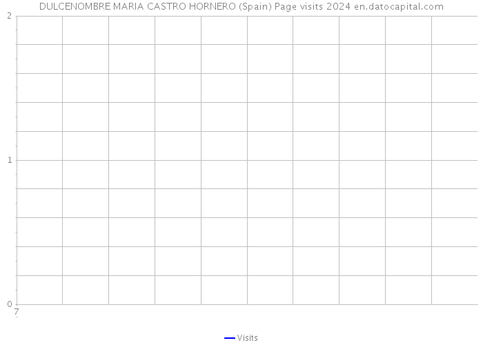 DULCENOMBRE MARIA CASTRO HORNERO (Spain) Page visits 2024 