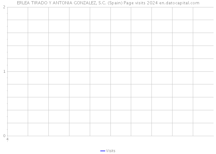 ERLEA TIRADO Y ANTONIA GONZALEZ, S.C. (Spain) Page visits 2024 