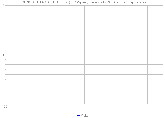 FEDERICO DE LA CALLE BOHORQUEZ (Spain) Page visits 2024 