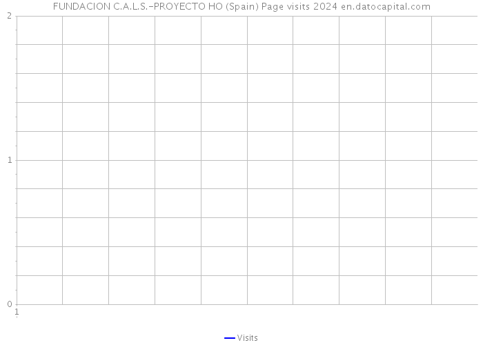 FUNDACION C.A.L.S.-PROYECTO HO (Spain) Page visits 2024 